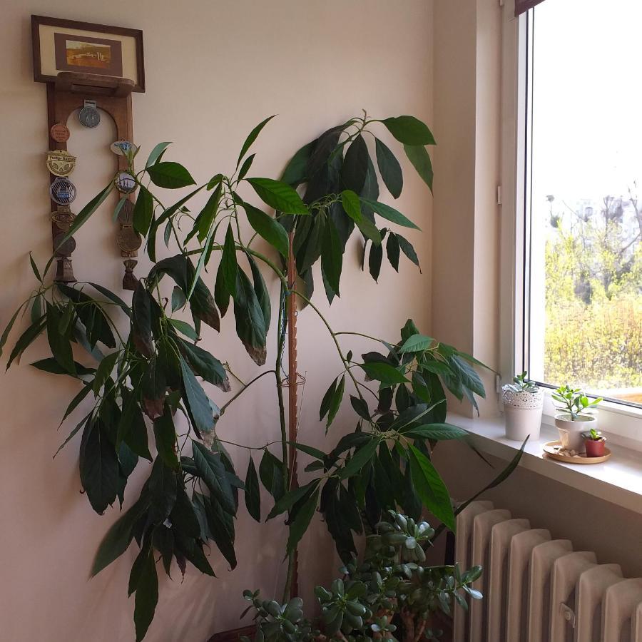 Wakacje Nad Morzem Appartement Gdańsk Buitenkant foto